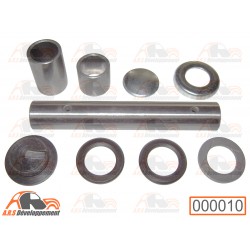 1 Axe pivot + bagues + kit...