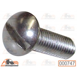 Vis en INOX à tête bombée...